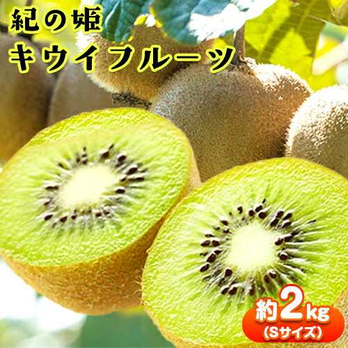 [先行予約]和歌山県産 紀の姫 キウイフルーツ 約 2kg Sサイズ 秀品 紀の川市厳選館[12月上旬-2026年2月上旬頃出荷] 和歌山県 紀の川市 果物 フルーツ キウイ
