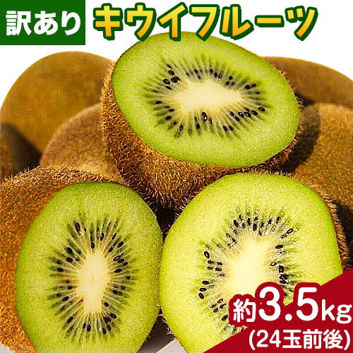 【ふるさと納税】【先行予約】【訳あり】紀の川市産キウイフルーツ ヘイワード約3.5kg(24玉前後) やまよし農園《2024年11月中旬-12月中旬頃より出荷予定》 和歌山県 紀の川市 果物 フルーツ キウイ ヘイワード 送料無料