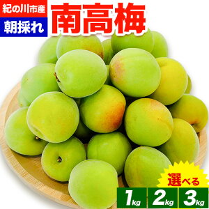【ふるさと納税】梅 紀州南高梅 選べる 内容量 1kg 2kg 3kg FARMER'S FARMER《6月上旬-7月中旬頃出荷》和歌山県 紀の川市 うめ 南高梅 青梅 紀の川市産