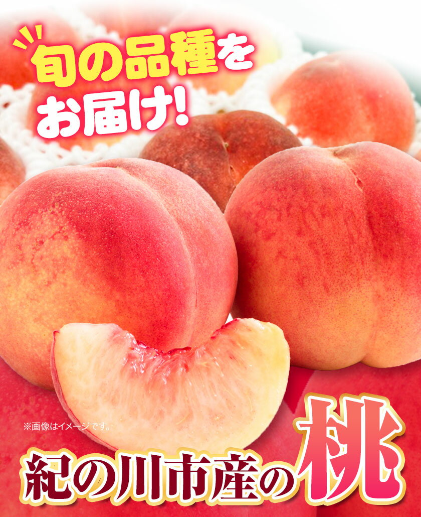 【ふるさと納税】桃 紀の川市産 選べる 内容量 約 1kg 約 2kg 紀農人株式会社《2025年6月上旬-8月中旬頃出荷》 和歌山県 紀の川市 果物 フルーツ 桃 もも モモ 旬