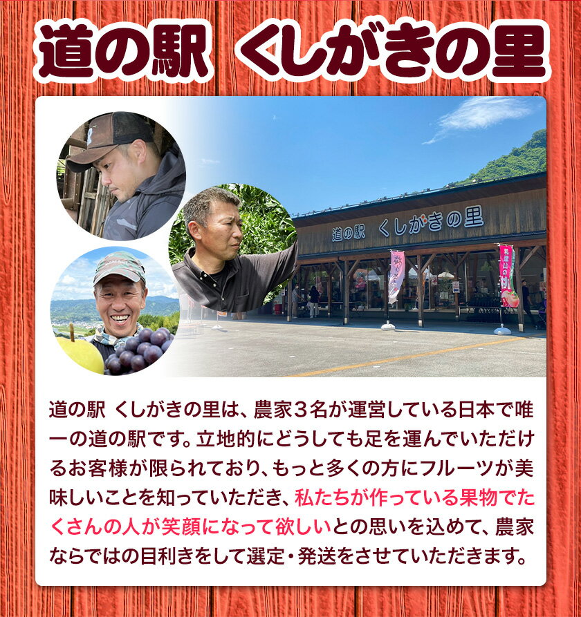 【ふるさと納税】赤秀品 超大玉 刀根早生柿 約 1.7kg （5~6玉） 紀農人株式会社《2025年9月中旬-2025年11月上旬頃出荷》 和歌山県 紀の川市 果物 フルーツ 柿 かき 早生柿 旬