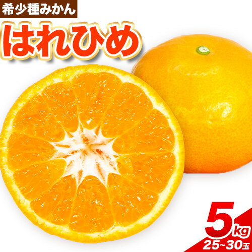 [先行予約]みかん はれひめ 約 5kg 25玉 〜 30玉 紀農人株式会社[2024年12月中旬-2025年2月上旬頃出荷] 和歌山県 紀の川市 果物 フルーツ 柑橘 蜜柑 柑橘類 旬