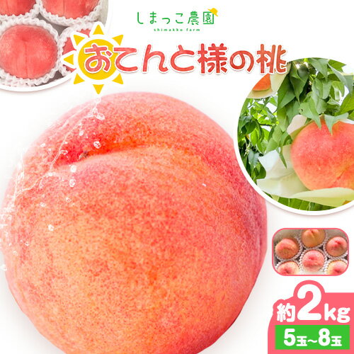 【ふるさと納税】【超減農薬】おてんと様の桃 約2kg(5-8