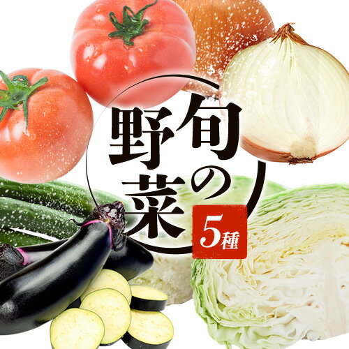 2位! 口コミ数「0件」評価「0」旬の野菜 約10kg 5種 《5月中旬-7月中旬頃出荷予定》 赤坂農園 和歌山県 紀の川市 野菜 とまと トマト キャベツ 茄子 なす なす･･･ 