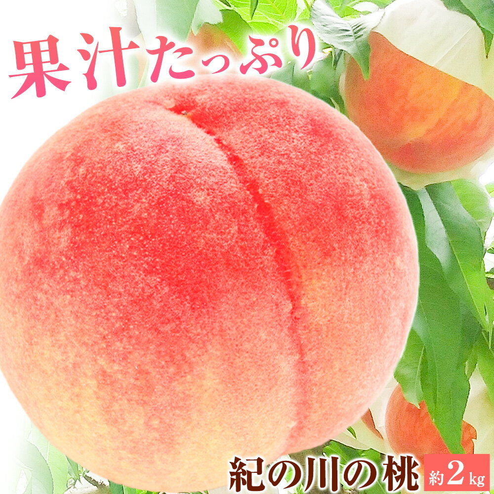 紀州紀の川の桃 約 2kg かつらぎフルーツ王国振興公社[6月下旬-8月中旬頃出荷]和歌山県 紀の川市 桃 もも モモ 果物 フルーツ
