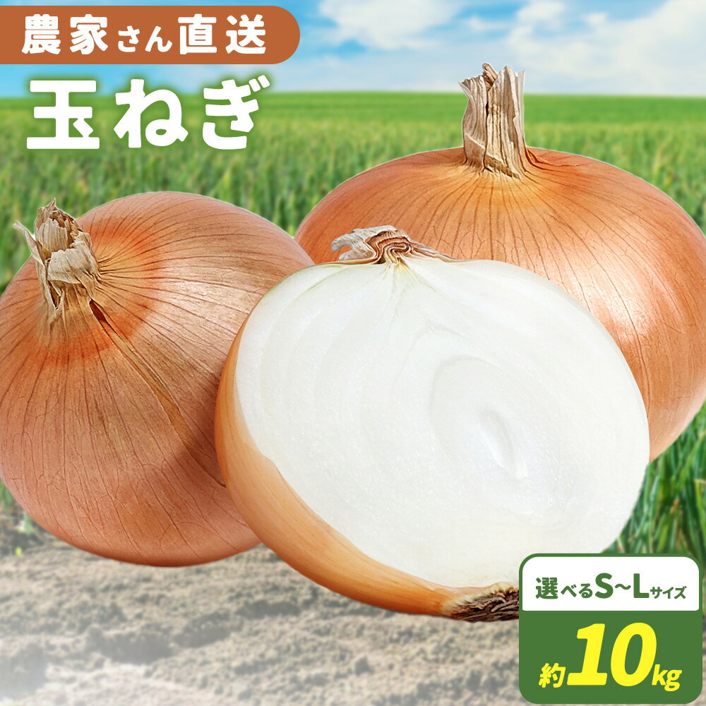 農家さん直送! 玉ねぎ 約 10kg 選べる サイズ Sサイズ Mサイズ Lサイズ [4月中旬-8月上旬頃出荷]和歌山県 紀の川市 野菜 たまねぎ