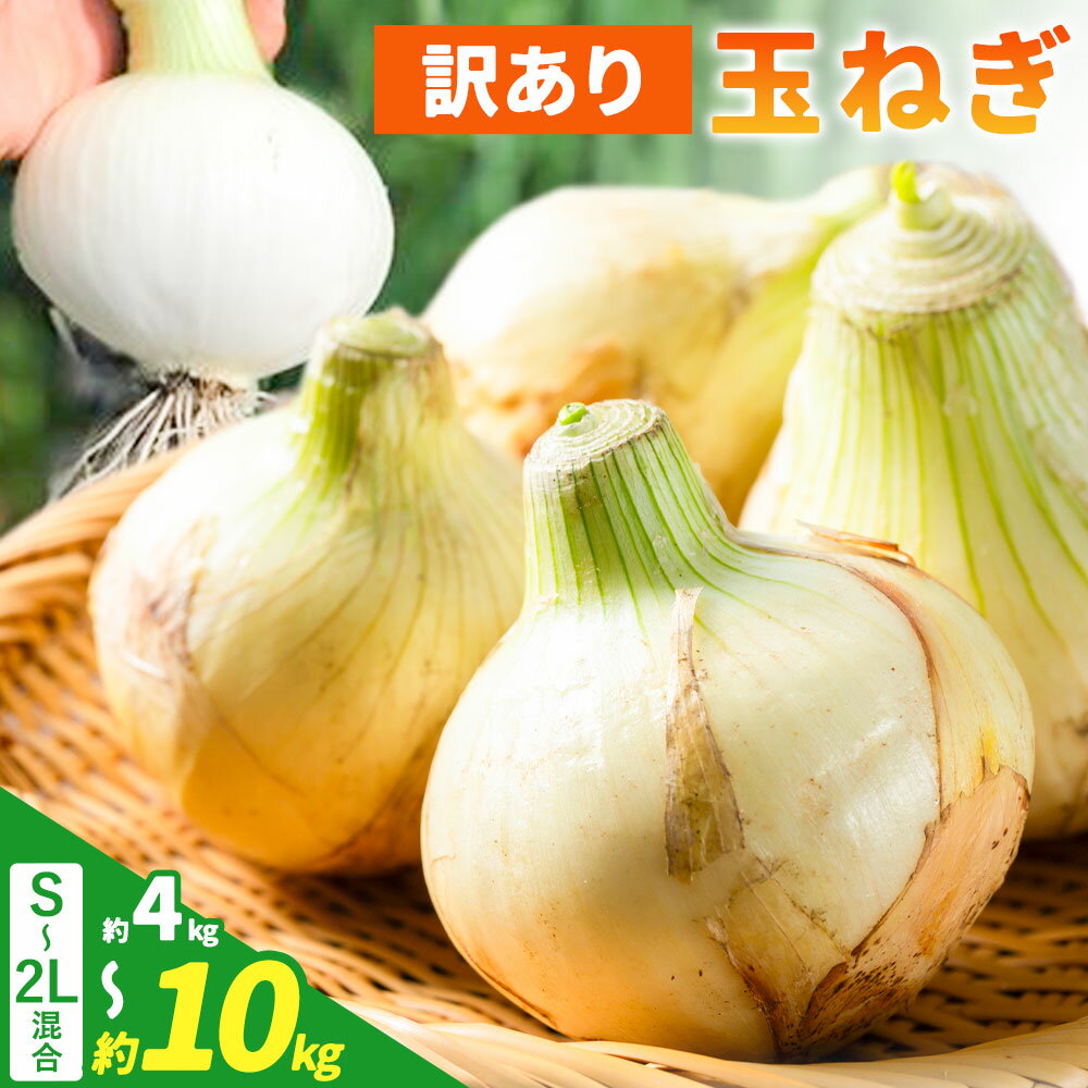 農家さん直送! 訳あり 玉ねぎ S〜2Lサイズ混合 選べる 約4kg 約10kg [4月中旬-8月上旬頃出荷]和歌山県 紀の川市 野菜 たまねぎ