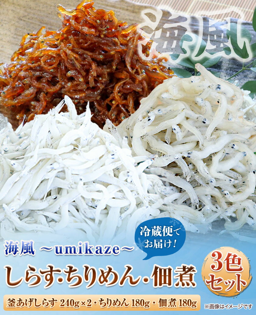 【ふるさと納税】しらす240g×2・ちりめん180g・佃煮180g 合計840g 3色セット「海風」 umikaze　大五水産 《30日以内に出荷予定(土日祝除く)》 和歌山県 紀の川市 しらす ちりめん 佃煮 セット