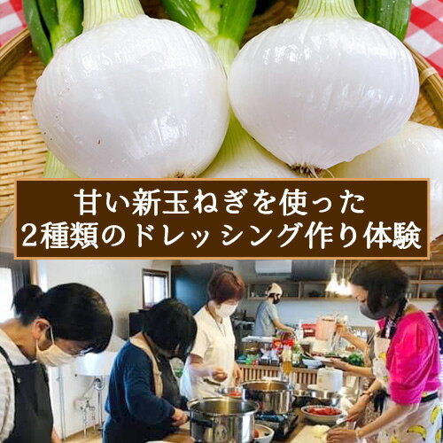 【ふるさと納税】甘い新玉ねぎを使って2種類のドレッシング作り体験 ダイマル農園 体験型返礼品 コト消費 手作り《30日以内に順次出荷(土日祝除く)》 和歌山県 紀の川市