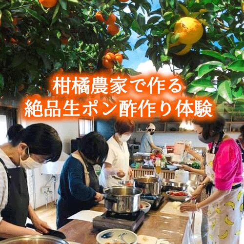 【ふるさと納税】柑橘農家で作る絶品生ぽん酢作り体験 ダイマル農園 体験型返礼品 コト消費 手作り《30日以内に順次出荷(土日祝除く)》 和歌山県 紀の川市