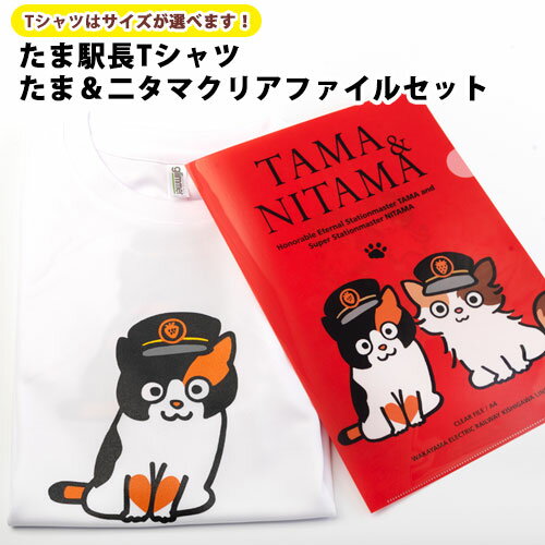 たま駅長Tシャツ・たまニタマクリアファイルセット(Tシャツはサイズがお選びいただけます) 和歌山電鐵株式会社 [90日以内に出荷予定(土日祝除く)] 和歌山県 紀の川市