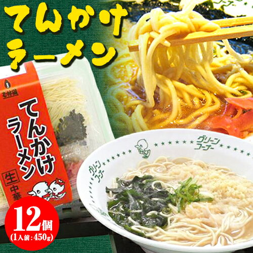 【ふるさと納税】てんかけラーメン12個 玉林園《90日以内に