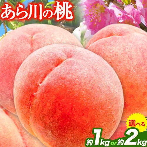 あら川の桃 約1kg 約2kg 光農園[2024年6月末-8月中旬頃より出荷予定] 和歌山県 紀の川市 桃 もも モモ 日川白鳳 白鳳 清水 川中島 八幡白鳳 あら川の桃 送料無料