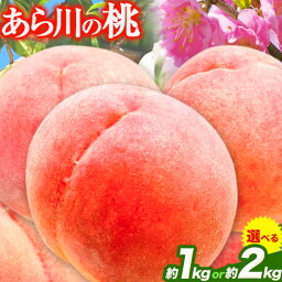 【ふるさと納税】あら川の桃 約1kg 約2kg 光農園《2024年6月末-8月中旬頃より出荷予定》 和歌山県 紀の川市 桃 もも モモ 日川白鳳 白鳳 清水 川中島 八幡白鳳 あら川の桃 送料無料