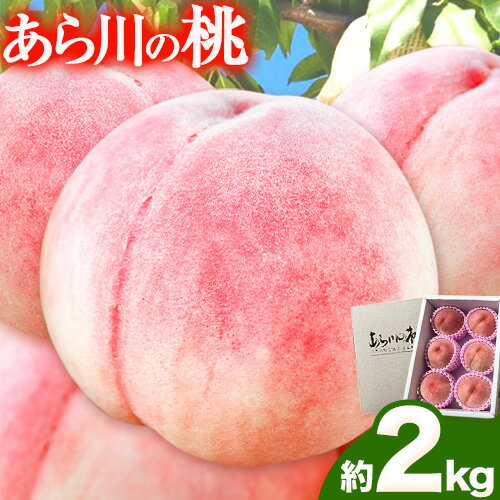 【ふるさと納税】【先行予約】あら川の桃 約2kg 光農園《6月末-8月末頃出荷》和歌山県 紀の川市 桃 もも モモ 日川白鳳 八幡白鳳 白鳳 なつおとめ 川中島白桃 あら川 黄金桃 つきかがみ 幸茜 さくら 【ふるさと納税】【先行予約】あら川の桃 約2kg 光農園《6月末-8月末頃出荷》和歌山県 紀の川市 桃 もも モモ 日川白鳳 八幡白鳳 白鳳 なつおとめ 川中島白桃 あら川 黄金桃 つきかがみ 幸茜 さくら