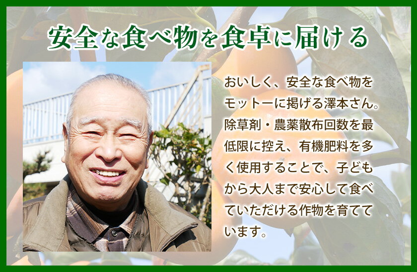 【ふるさと納税】ap アンポ柿用生渋柿 4.5～5kg ふるさと農園《10月下旬-11月下旬頃より順次出荷》 和歌山県 紀の川市