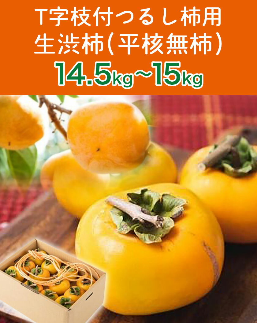 【ふるさと納税】T字枝付つるし柿用生渋柿 14.5～15kg ふるさと農園《10月下旬-11月下旬頃より順次出荷》 和歌山県 紀の川市