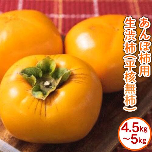 【ふるさと納税】ap アンポ柿用生渋柿 4.5～5kg ふるさと農園《10月下旬-11月下旬頃より順次出荷》 和歌山県 紀の川市