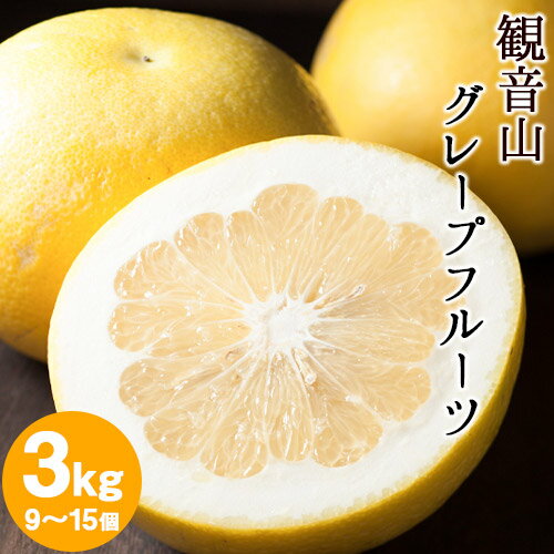 観音山グレープフルーツ 3kg 有限会社柑香園《2025年1月上旬-3月下旬頃出荷》和歌山県 紀の川市 フルーツ 果物 柑橘 グレープフルーツサンタマリア