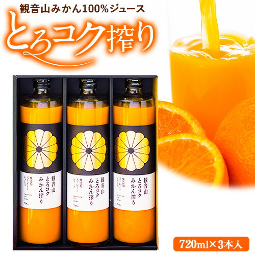 観音山みかんジュース「とろコク搾り」720ml×3本入 有限会社柑香園 [30日以内に出荷予定(土日祝除く)]和歌山県 紀の川市 フルーツ 果物 柑橘 添加物不使用 100%ストレートジュース