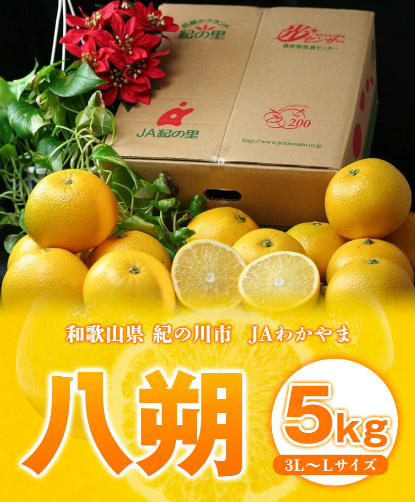 【ふるさと納税】八朔約5kg(3L-Lサイズ) 【先行予約】JAわかやま 紀の里地域本部 《2026年1月上旬-3月末頃出荷》 和歌山県 紀の川市 果物 フルーツ 柑橘 はっさく