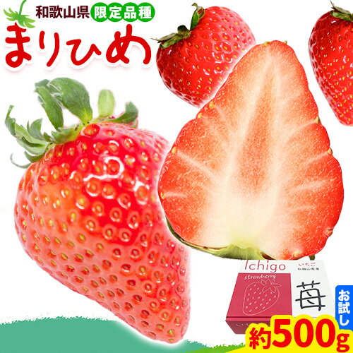 【ふるさと納税】いちご まりひめ 約500g ( 250g 