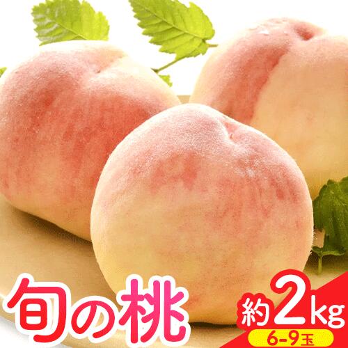 【ふるさと納税】【先行予約】桃 約2kg（6-9玉） 岸武青