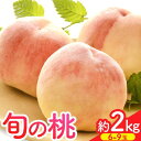 【ふるさと納税】【先行予約】桃 約2kg（6-9玉） 岸武青