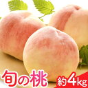 【ふるさと納税】和歌山の桃 約4kg (約12~15玉入) 