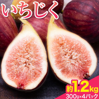 いちじく 約1.2kg 300g × 4パック 岸武青果株式会社《7月下旬-11月末頃出荷》 和歌山県 紀の川市 イチジク 生 産地直送 果物 フルーツ