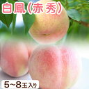 【ふるさと納税】和歌山県紀の川市産 白鳳 ＜赤秀＞ 5-8玉入り 桃 モモ もも 株式会社松源《2024年6月下旬-7月中旬頃…