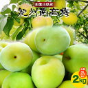 【ふるさと納税】和歌山県産紀州南高梅(青梅)2kg(大粒/3