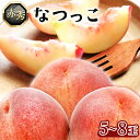 19位! 口コミ数「3件」評価「2.67」和歌山県産 なつっこ 5～8玉入り ≪赤秀≫ 桃 モモ もも 株式会社松源《2024年7月中旬-8月上旬頃出荷》和歌山県 紀の川市