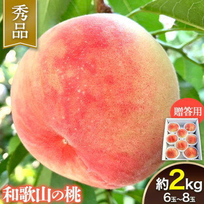 【贈答用/熨斗非対応】 秀品 和歌山の桃 約2kg (6玉~8玉) m&n果実園 【配送不可地域あり】 《2024年6月中旬-7月下旬頃出荷》和歌山県 紀の川市 モモ 桃 もも 旬 白鳳 日川白鳳 なつっこ 果物 フルーツ 贈り物 ギフト