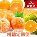【ふるさと納税】【2回定期便】【定期】選べる みかん + 八朔 m&n果実園 《2025年10月中旬-2026年3月中旬頃出荷》和歌山県 紀の川市 送料無料 田...