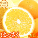【先行予約】【ふるさと納税】八朔 約10kg m&n果実園《2026年1月下旬-3月中旬頃出荷》和歌山県 紀の川市 果物 フルーツ はっさく 柑橘類 送料無料