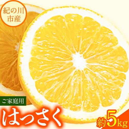 【ふるさと納税】【先行予約】八朔 約5kg ご家庭用 m&n果実園《2026年1月下旬-3月中旬頃出荷》和歌山県 紀の川市 果物 はっさく フルーツ 柑橘類 送料無料 【ふるさと納税】【先行予約】八朔 約5kg ご家庭用 m&n果実園《2026年1月下旬-3月中旬頃出荷》和歌山県 紀の川市 果物 はっさく フルーツ 柑橘類 送料無料