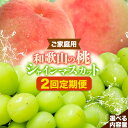 【ふるさと納税】【2回定期便】【ご家庭用 訳あり】和歌山の桃 約2kg (6玉~8玉) 大粒 シャインマスカット 約1.2kg または 1.4kg m&n果実園 《2026年6月中旬-10月上旬頃出荷》和歌山県 紀の川市 送料無料 桃 旬 果物 フルーツ【配送不可地域あり】