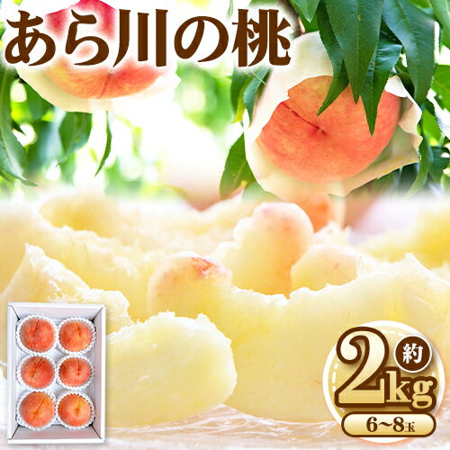 【ふるさと納税】【予約受付】 あら川の桃 約2kg 6-8玉