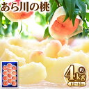 5位! 口コミ数「1件」評価「1」【予約受付】 あら川の桃 約4kg 12-15玉 室谷青果 《2024年6月下旬-8月中旬頃出荷》 和歌山県 紀の川市