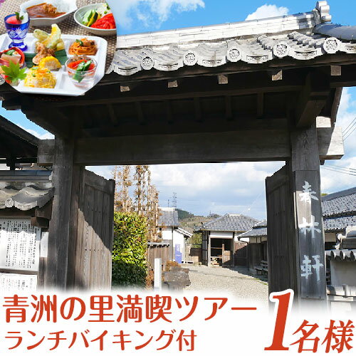 【ふるさと納税】案内人と行く青州の里満喫ツアー 1名様 　一般財団法人青洲の里 体験型返礼品 コト消...