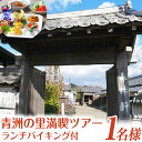 【ふるさと納税】案内人と行く青州の里満喫ツアー 1名様 　一般財団法人青洲の里 体験型返礼品 コト消費 《90日以内に順次出荷(土日祝除く)》 和歌山県 紀の川市