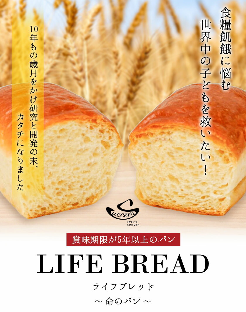 【ふるさと納税】LIFEBREAD 選べる 10本 20本 50本 110g サクセム株式会社《30日以内に出荷予定(土日祝除く)》和歌山県 紀の川市 防災備蓄 賞味期限5年以上 ライフブレッド ブレッド