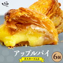 【ふるさと納税】アップルパイ カスタード入り 6個入り (1箱)《30日以内に出荷予定(土日祝除く)》和歌山県 紀の川市 サクセム株式会社 焼き菓子 アップル りんご パイ カスタード