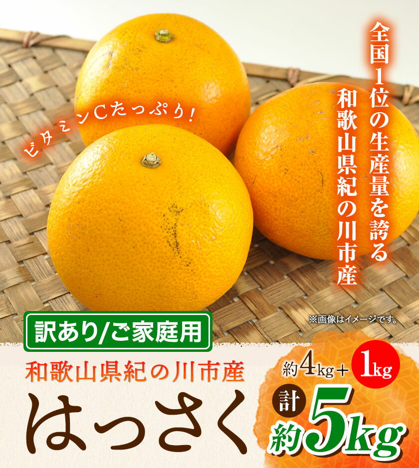 【ふるさと納税】【訳あり/ご家庭用】はっさく 八朔 4kg＋1kg 計約5kg サンファーム《1月上旬-3月末頃出荷》和歌山県 紀の川市 ご家庭用 7000円