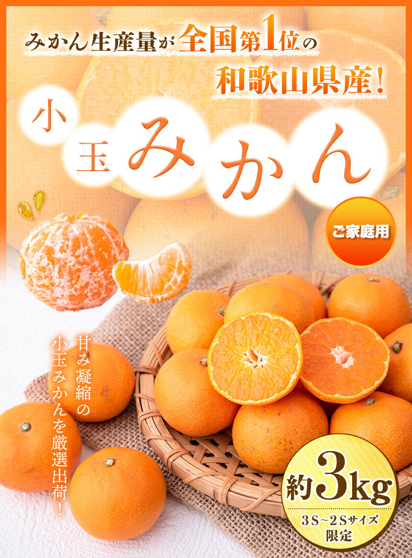 【ふるさと納税】和歌山県産 ご家庭用小玉みかん 約3kg【3S-2Sサイズ】 サンファーム《10月上旬-1月下旬頃より順次出荷》和歌山県 紀の川市