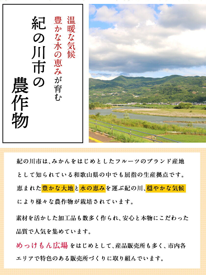 【メール便】蒸し発芽大豆 100g だいずデイズ 蒸し大豆 蒸し豆 国産 北海道産 おやつ サラダ や チリビーンズ に最適 beans チリコンカン 小袋