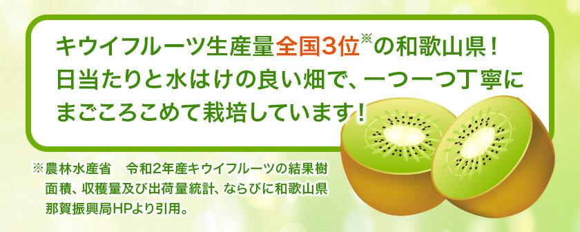 【ふるさと納税】和歌山県紀の川市産 キウイ約5kg ときわオンライン《12月下旬-2025年5月中旬頃出荷》 和歌山県 紀の川市 キウイ キウイフルーツ 果物 フルーツ 送料無料