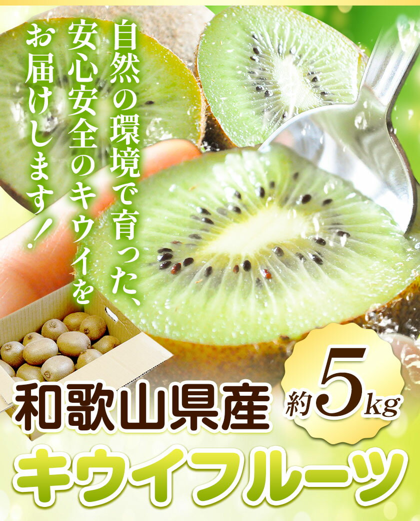 【ふるさと納税】和歌山県紀の川市産 キウイ約5kg ときわオンライン《12月下旬-2025年5月中旬頃出荷》 和歌山県 紀の川市 キウイ キウイフルーツ 果物 フルーツ 送料無料