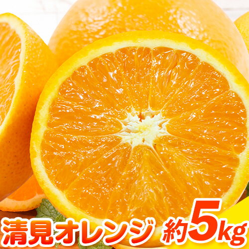 【ふるさと納税】清見オレンジ 5kg ときわオンライン《1月